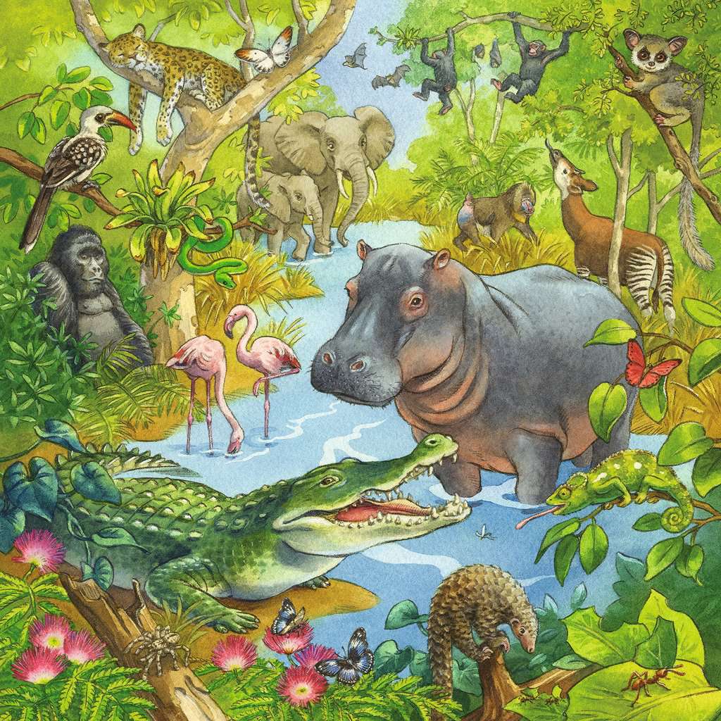 Ravensburger Puzzle 3 X 49 Teile Im Urwald