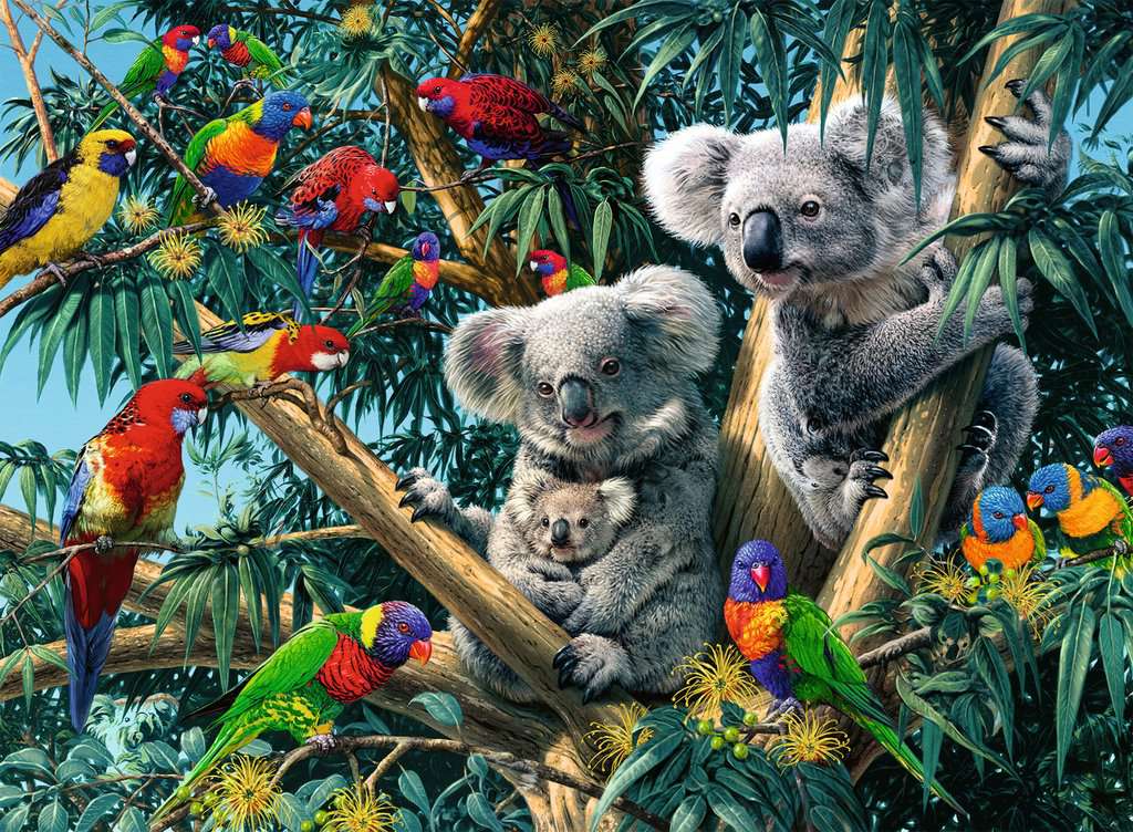 Ravensburger Puzzle 500 Teile Koalas im Baum