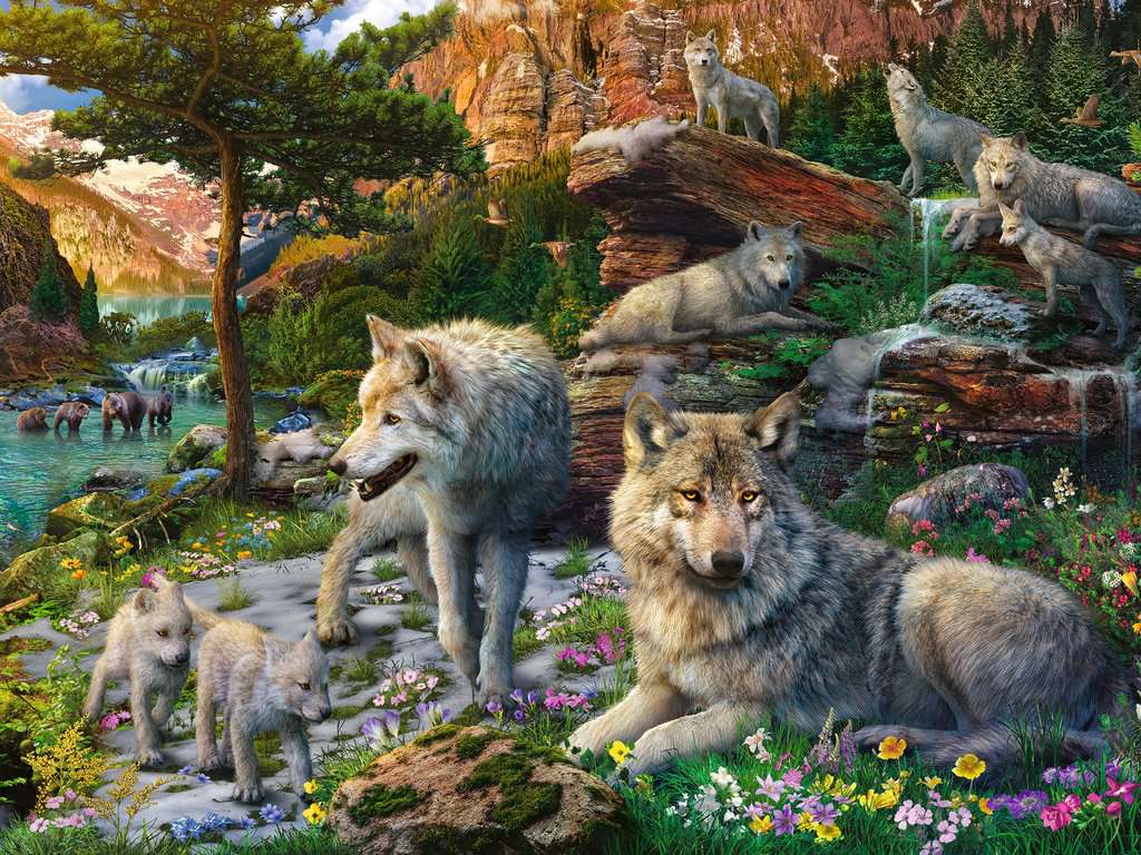 Ravensburger Puzzle 1500 Teile Wolfsrudel im Frühlingserwachen