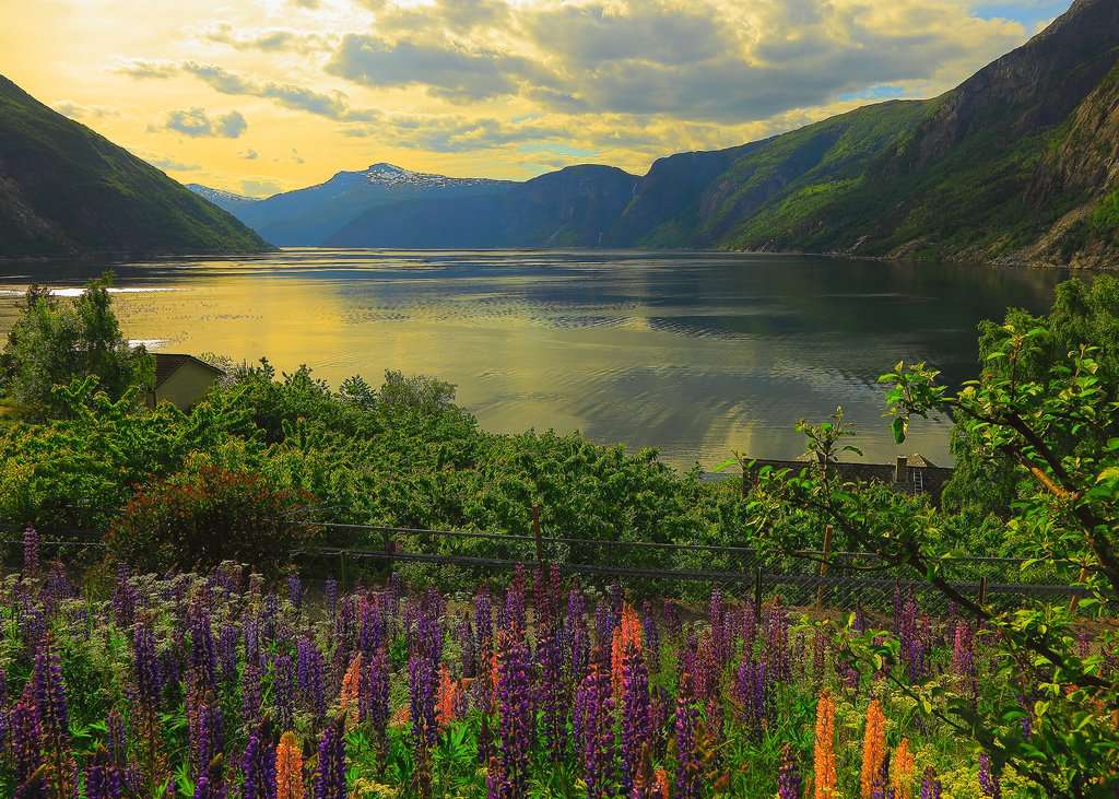 Ravensburger Puzzle 1000 Teile Fjord in Norwegen