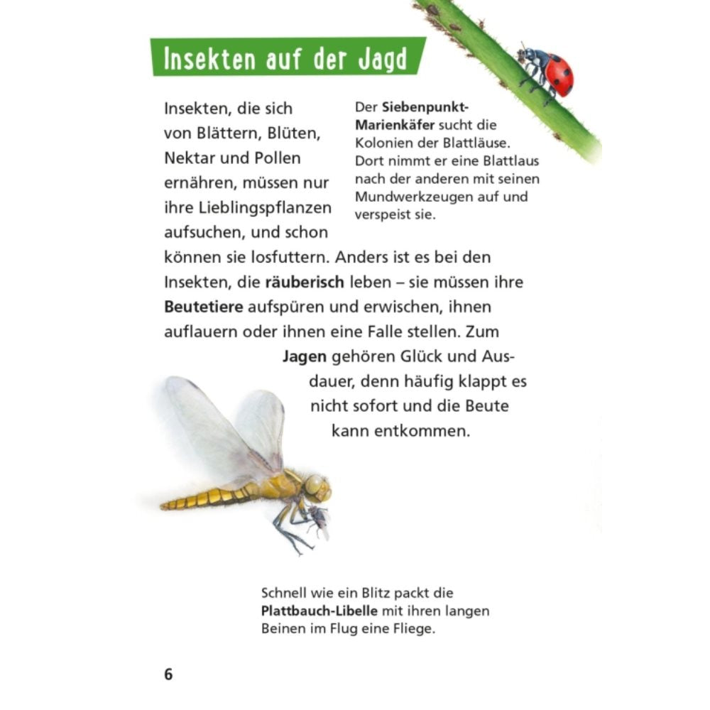 Pixi Wissen 115: Insekten