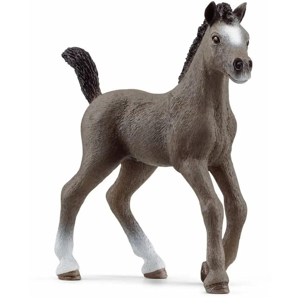 schleich Horse Club Selle Francais Fohlen 13957