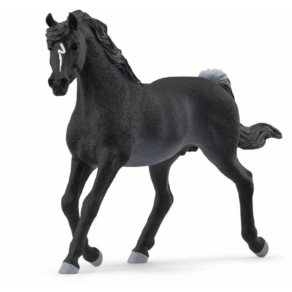 schleich Horse Club Araber Hengst 13981