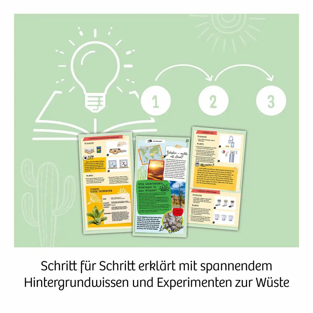 Experimentierkasten Kakteen-Wüste