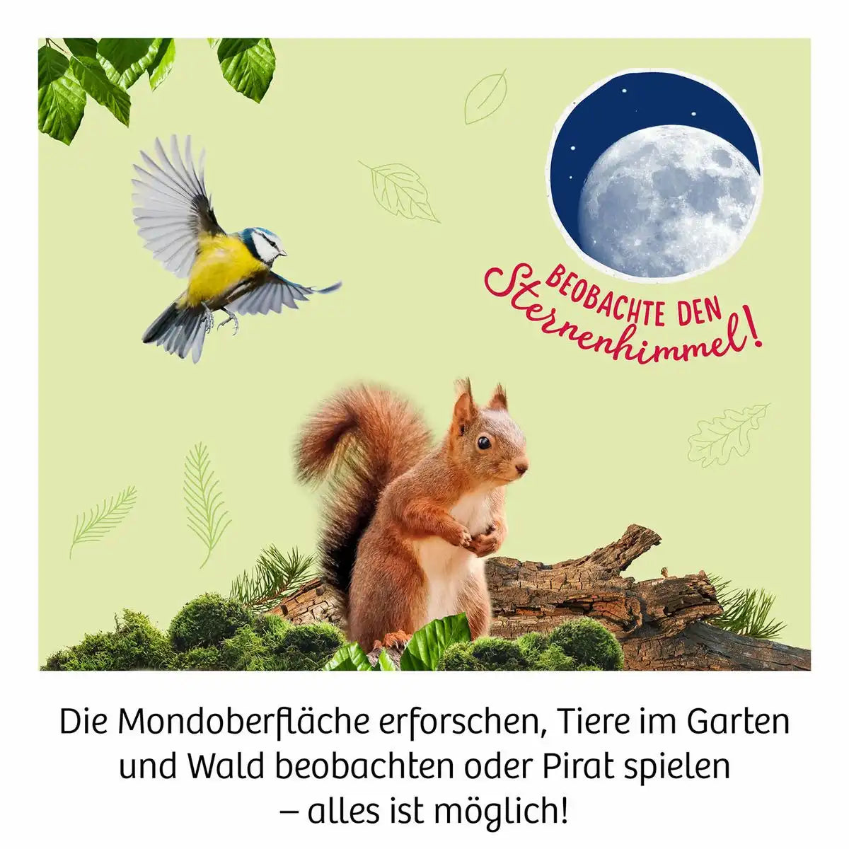 Fernrohr mit 12fach Vergrößerung