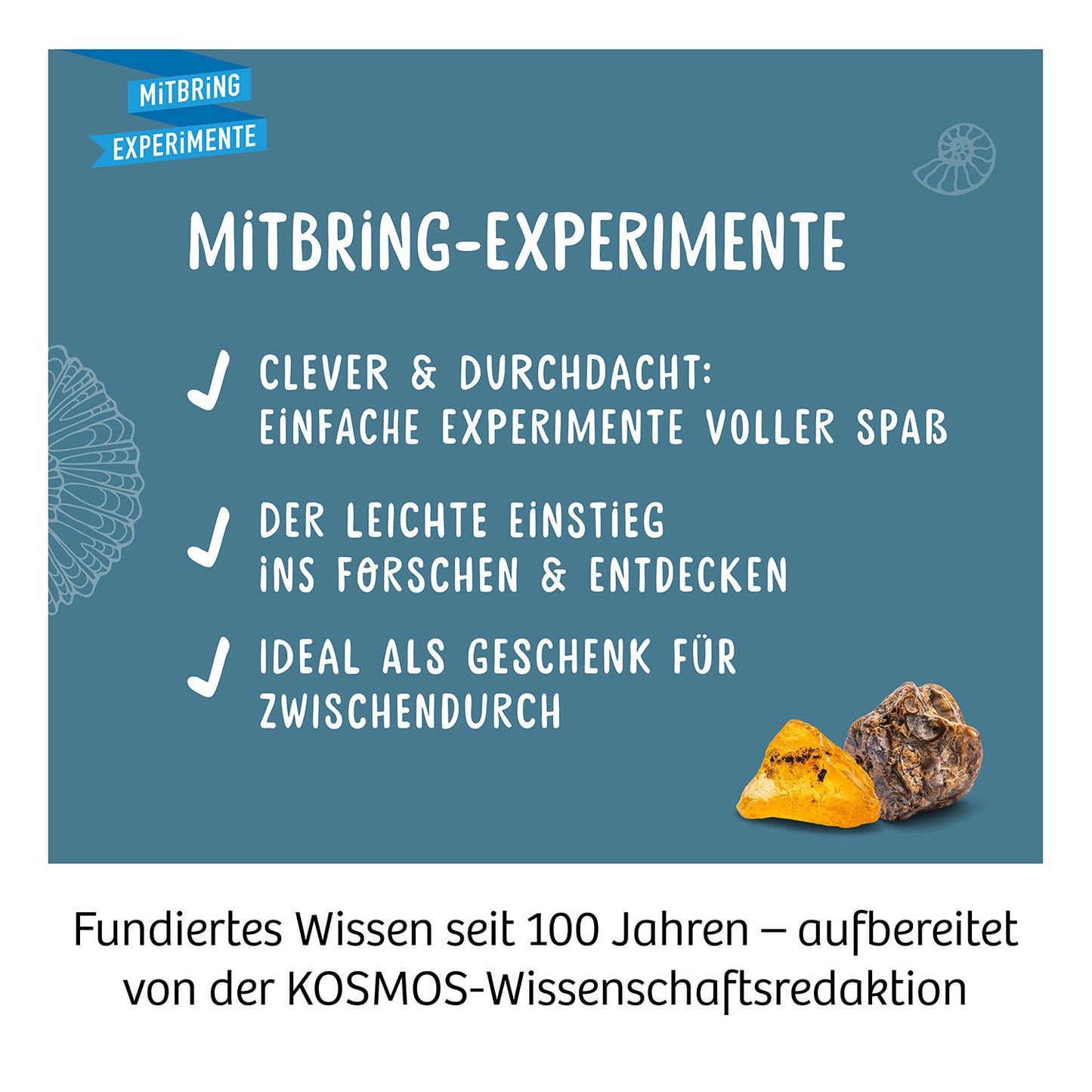 Ausgrabungsset Fossilien