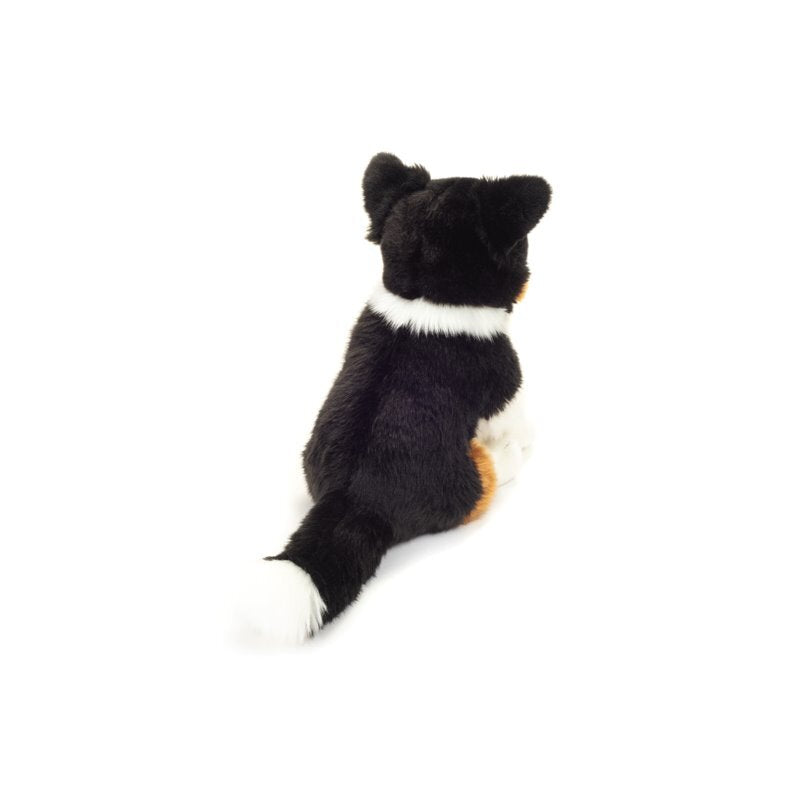Teddy Hermann Tri-Color Border Collie sitzend 30 cm