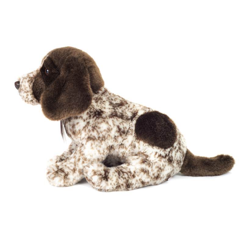 Teddy Hermann Deutsch Drahthaar Welpe 30 cm