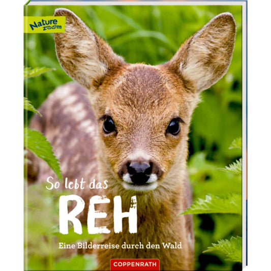 So lebt das Reh (Nature Zoom) - Eine Bilderreise durch den Wald