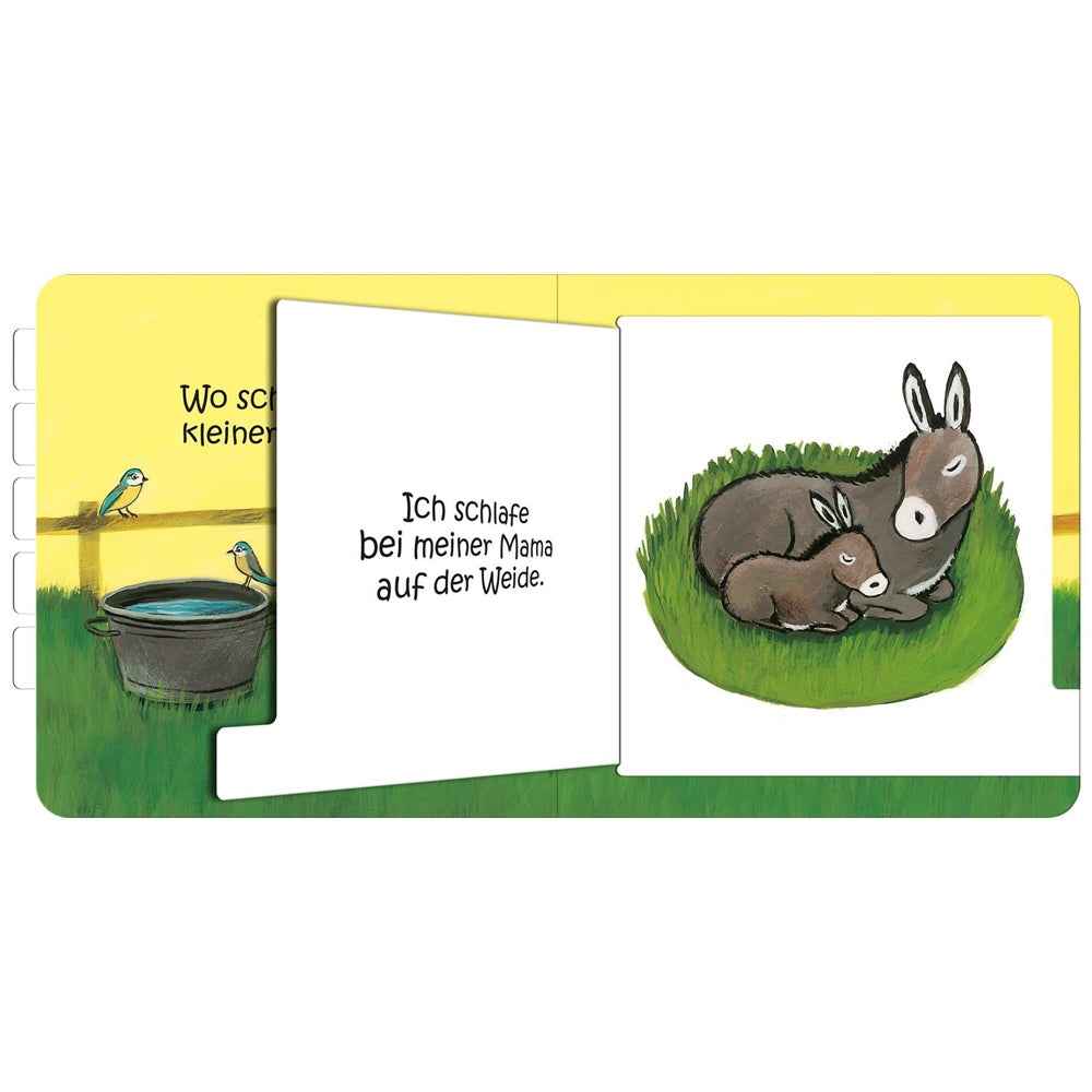 Wo schläfst du, kleine Eule?
