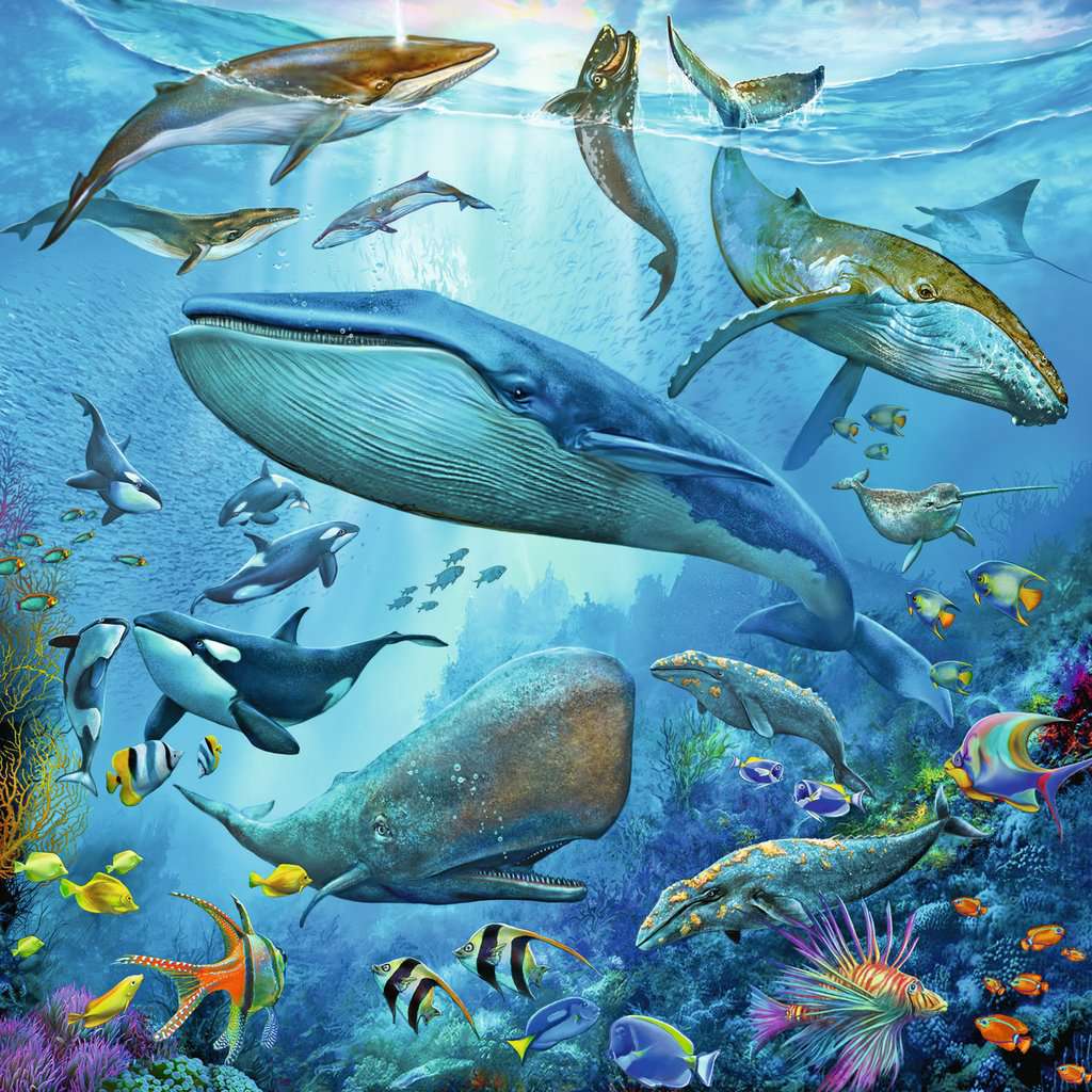 Ravensburger Puzzle 3 X 49 Teile Tierwelt des Ozeans