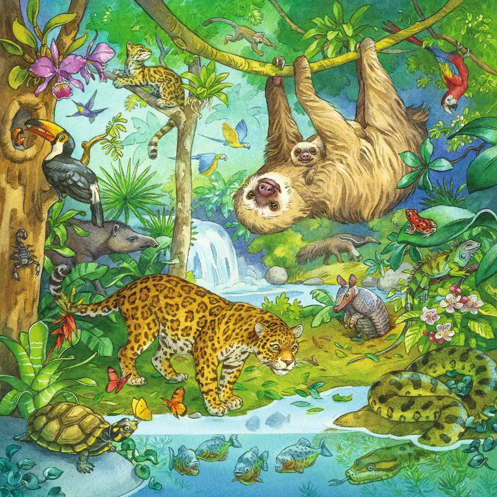 Ravensburger Puzzle 3 X 49 Teile Im Urwald