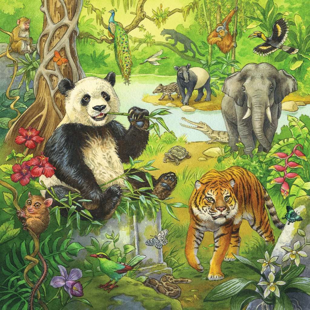 Ravensburger Puzzle 3 X 49 Teile Im Urwald