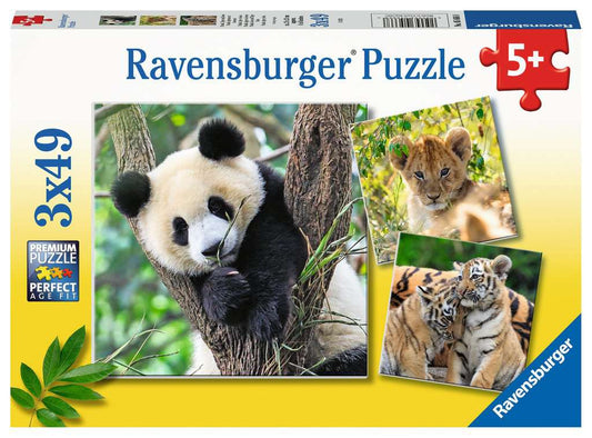 Ravensburger Puzzle 3 X 49 Teile Panda Tiger und Löwe