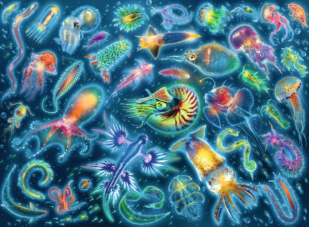 Ravensburger Puzzle 500 Teile Farbenfrohe Quallen