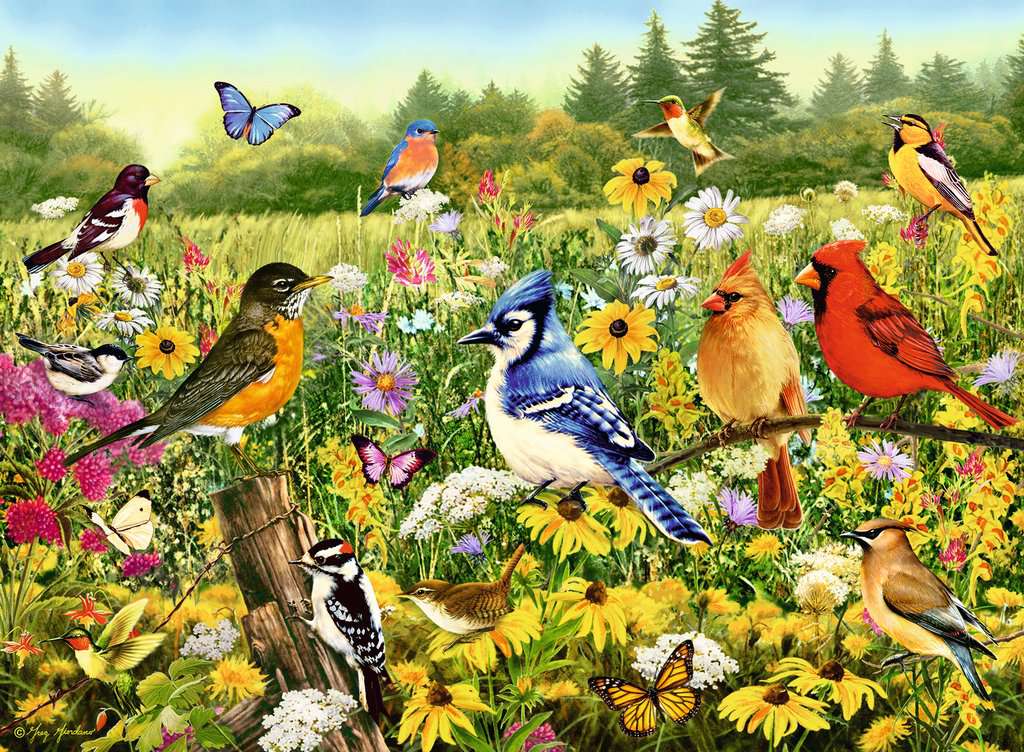 Ravensburger Puzzle 500 Teile Vogelwiese