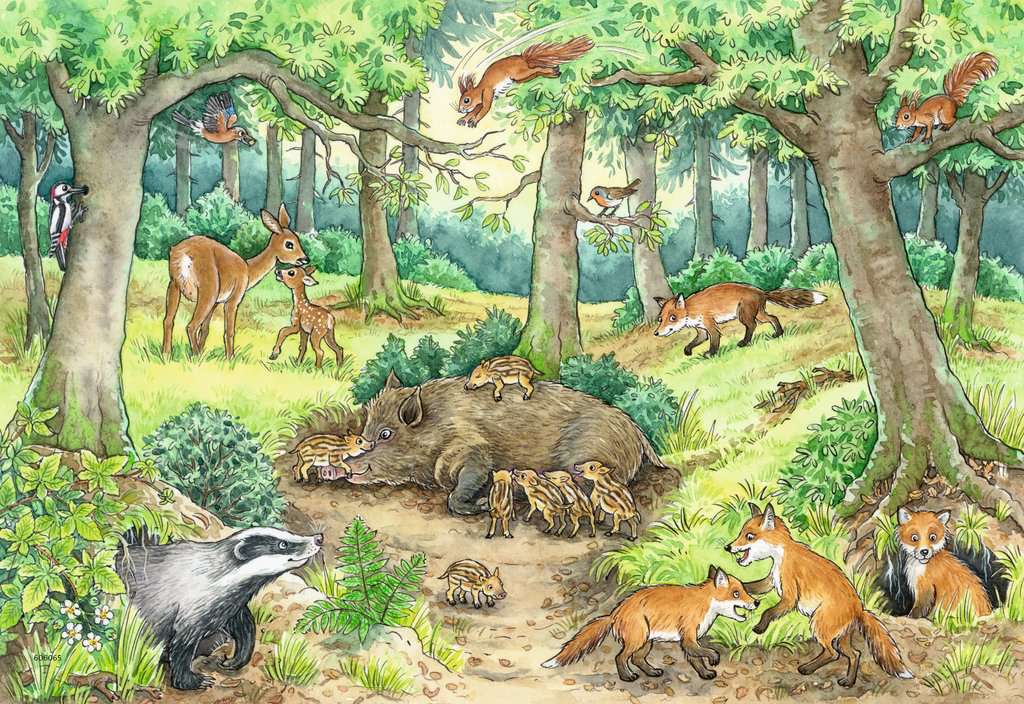 Ravensburger Puzzle 2 X 12 Teile Wieso? Weshalb? Warum? Tiere im Wald und auf der Wiese