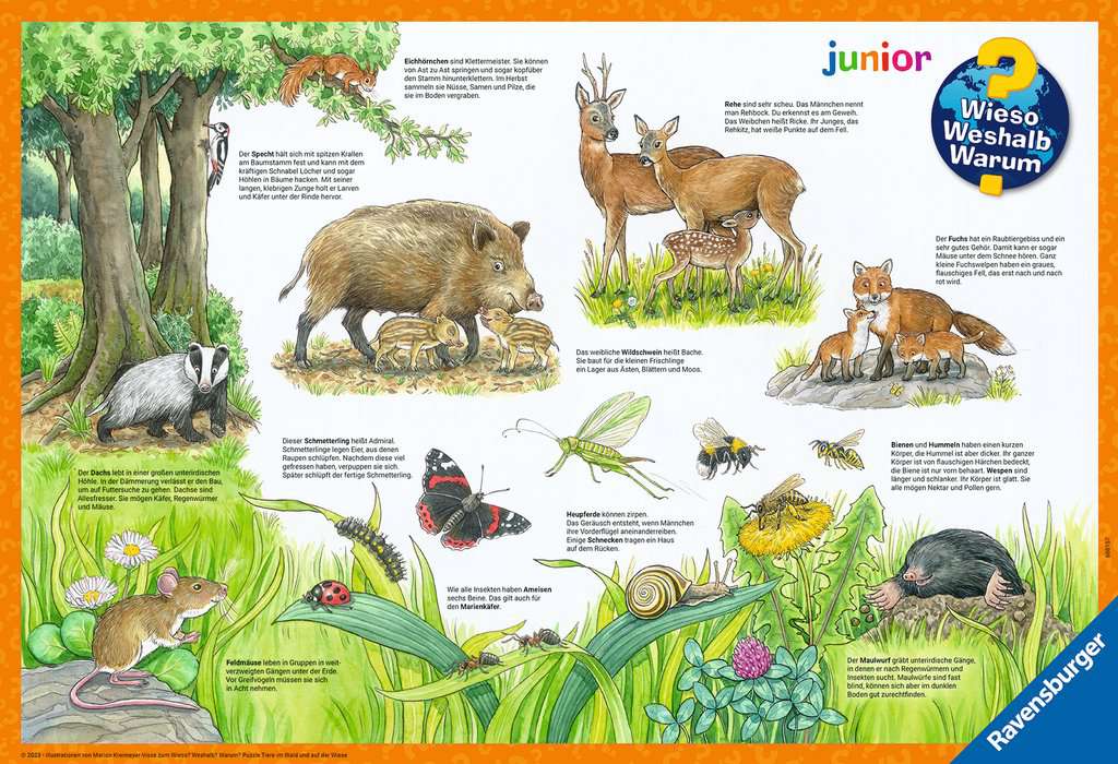 Ravensburger Puzzle 2 X 12 Teile Wieso? Weshalb? Warum? Tiere im Wald und auf der Wiese