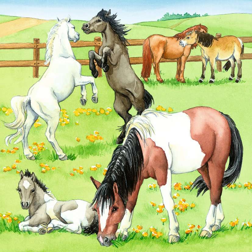 Ravensburger Puzzle 3 X 49 Teile Ein Tag auf dem Reiterhof