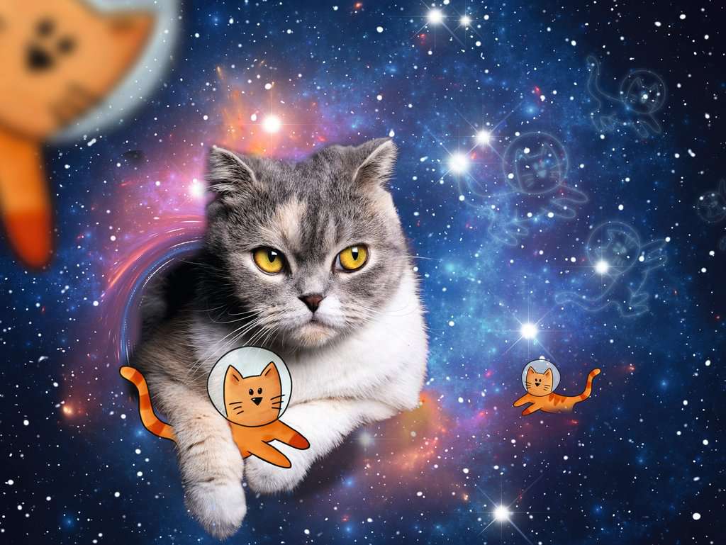 Ravensburger Puzzle 1500 Teile Katzen fliegen im Weltall