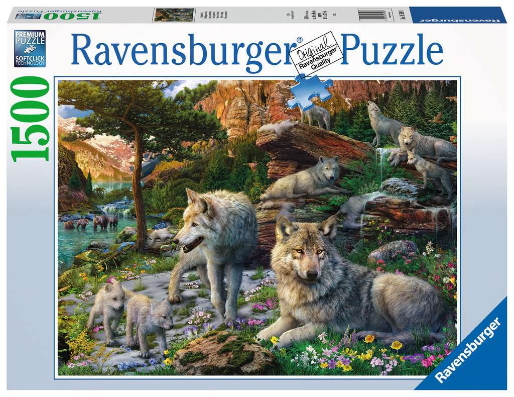 Ravensburger Puzzle 1500 Teile Wolfsrudel im Frühlingserwachen