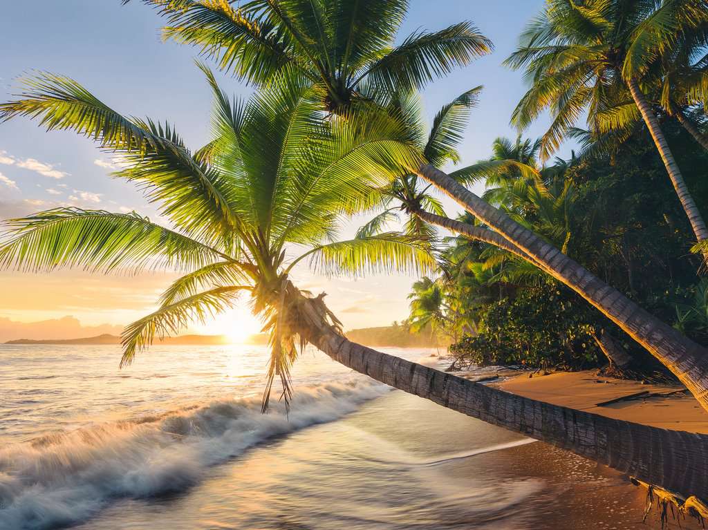 Ravensburger Puzzle 1500 Teile Strandgeheimnis