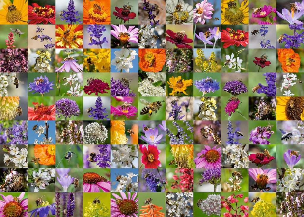 Ravensburger Puzzle 1000 Teile 99 Bienen