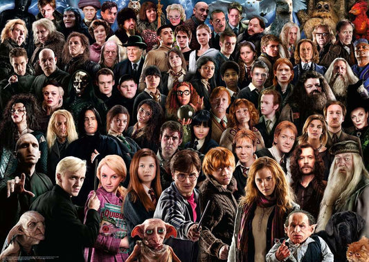 Ravensburger Puzzle 1000 Teile Challenge Harry Potter