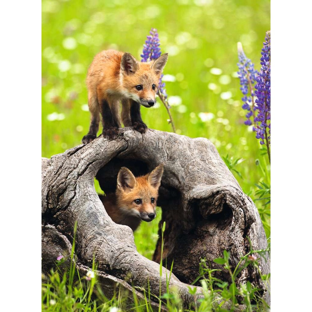 Ravensburger Puzzle 300 Teile Freche Füchse