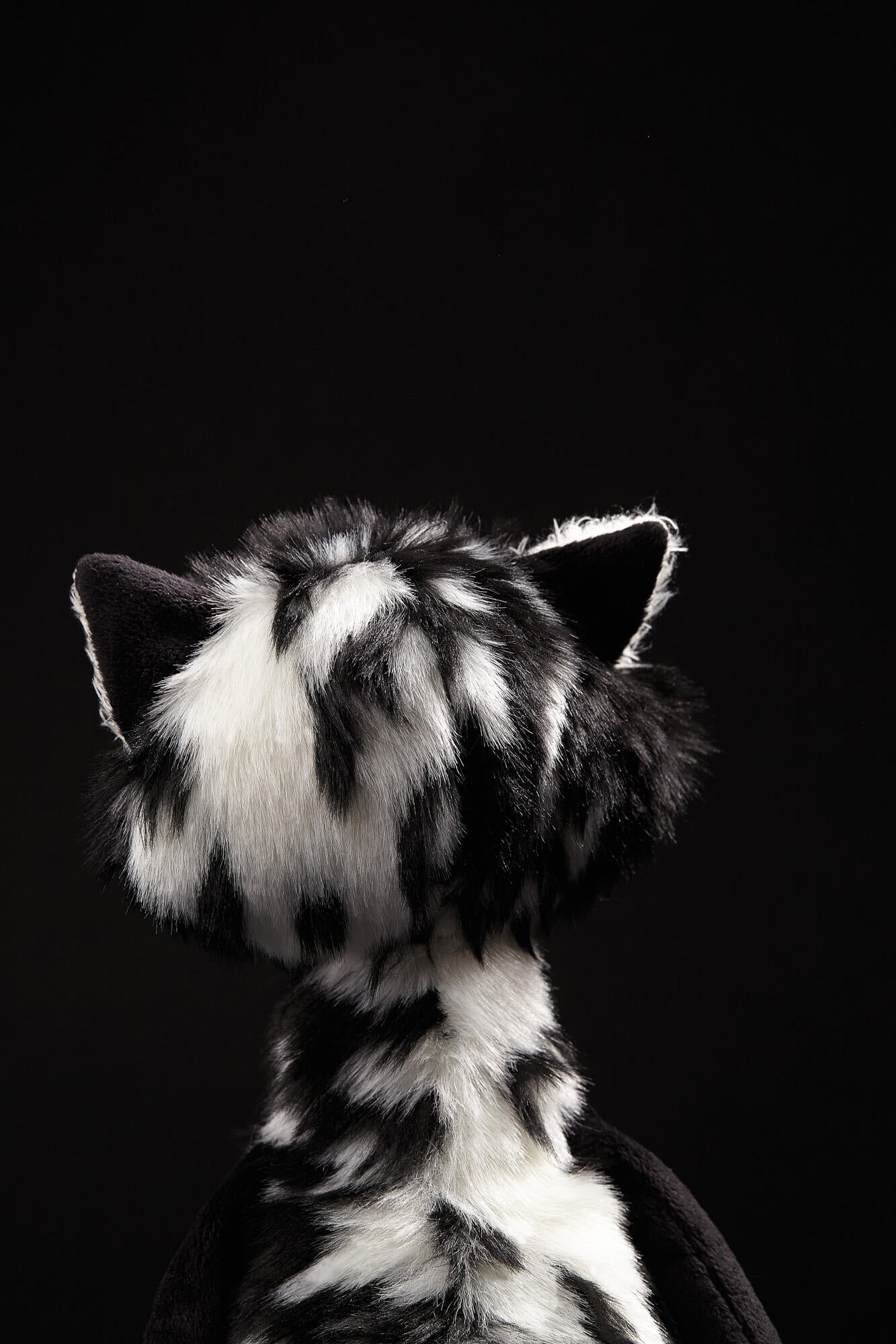 Cat Macchiato, BeastsTown