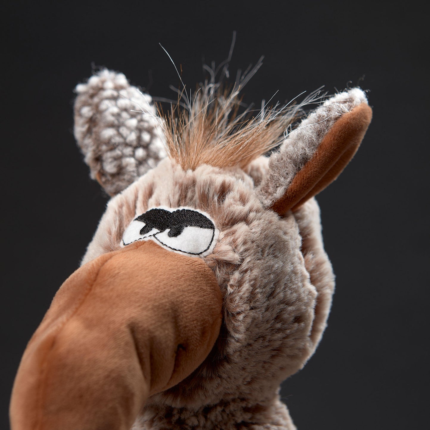 Woody Moody, BeastsTown