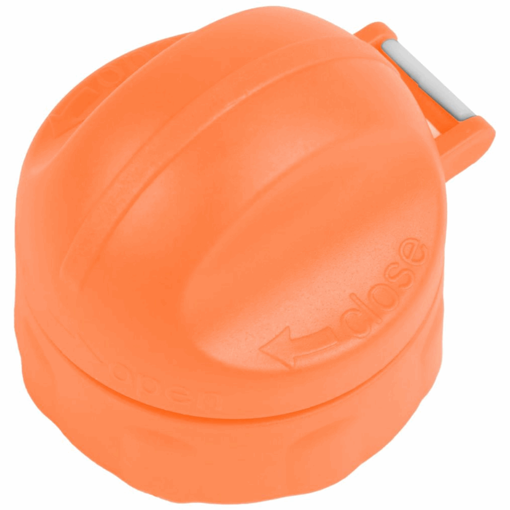 Edelstahl Trinkflasche 250 ml, Löwe
