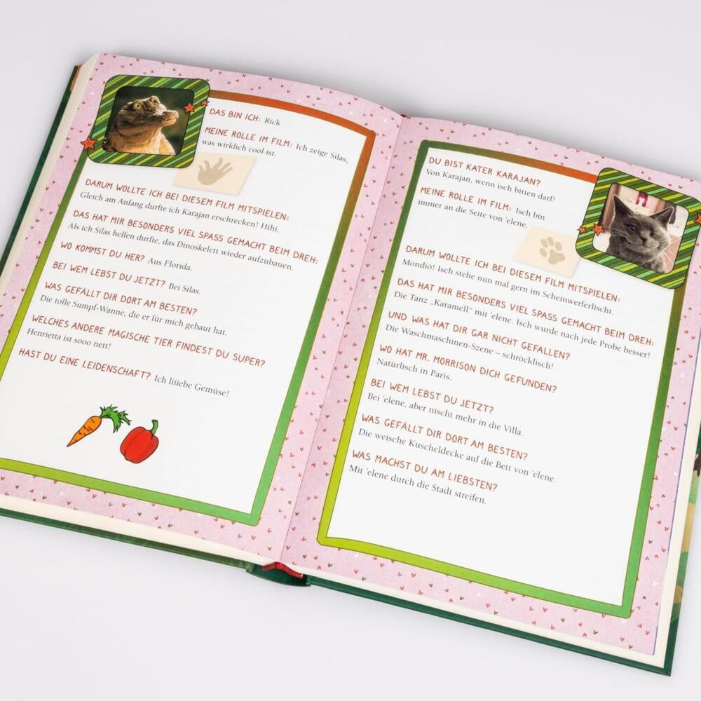 Die Schule der magischen Tiere 3: Das Buch zum Film