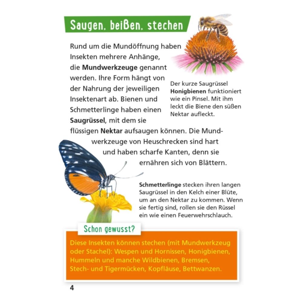 Pixi Wissen 115: Insekten
