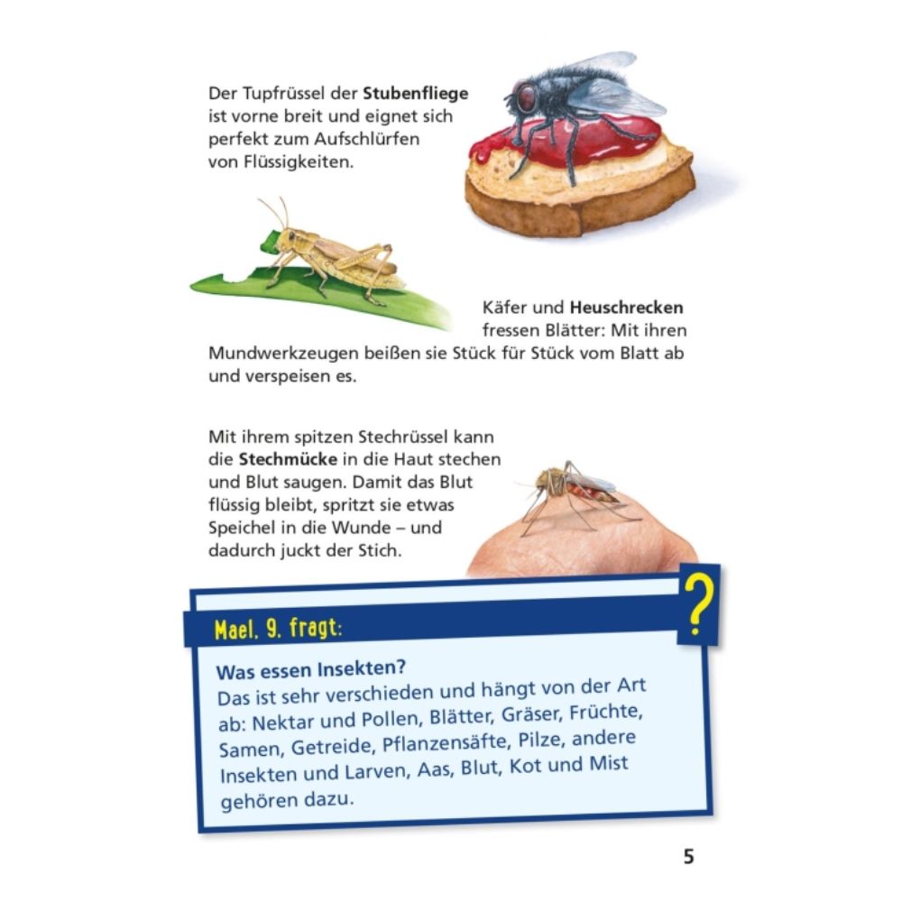 Pixi Wissen 115: Insekten