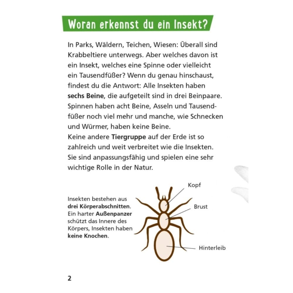 Pixi Wissen 115: Insekten