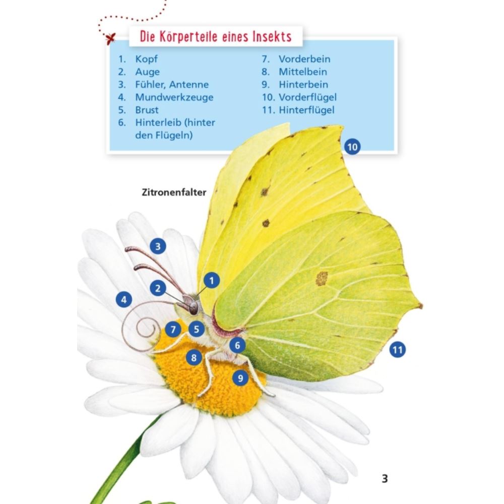 Pixi Wissen 115: Insekten
