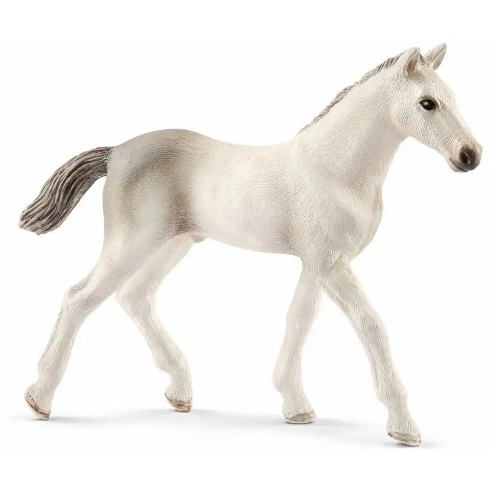 schleich Horse Club Holsteiner Fohlen 13860