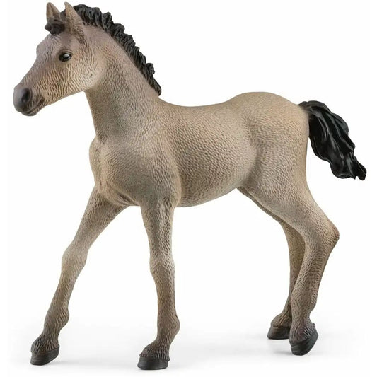 schleich Horse Club Criollo Definitivo Fohlen 13949