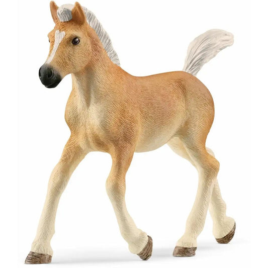 schleich Horse Club Haflinger Fohlen 13951