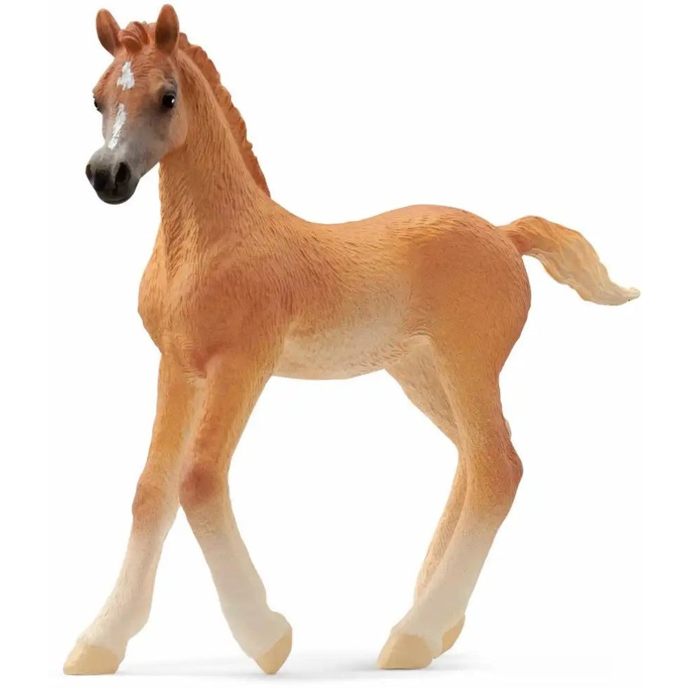 schleich Horse Club Araber Fohlen 13984