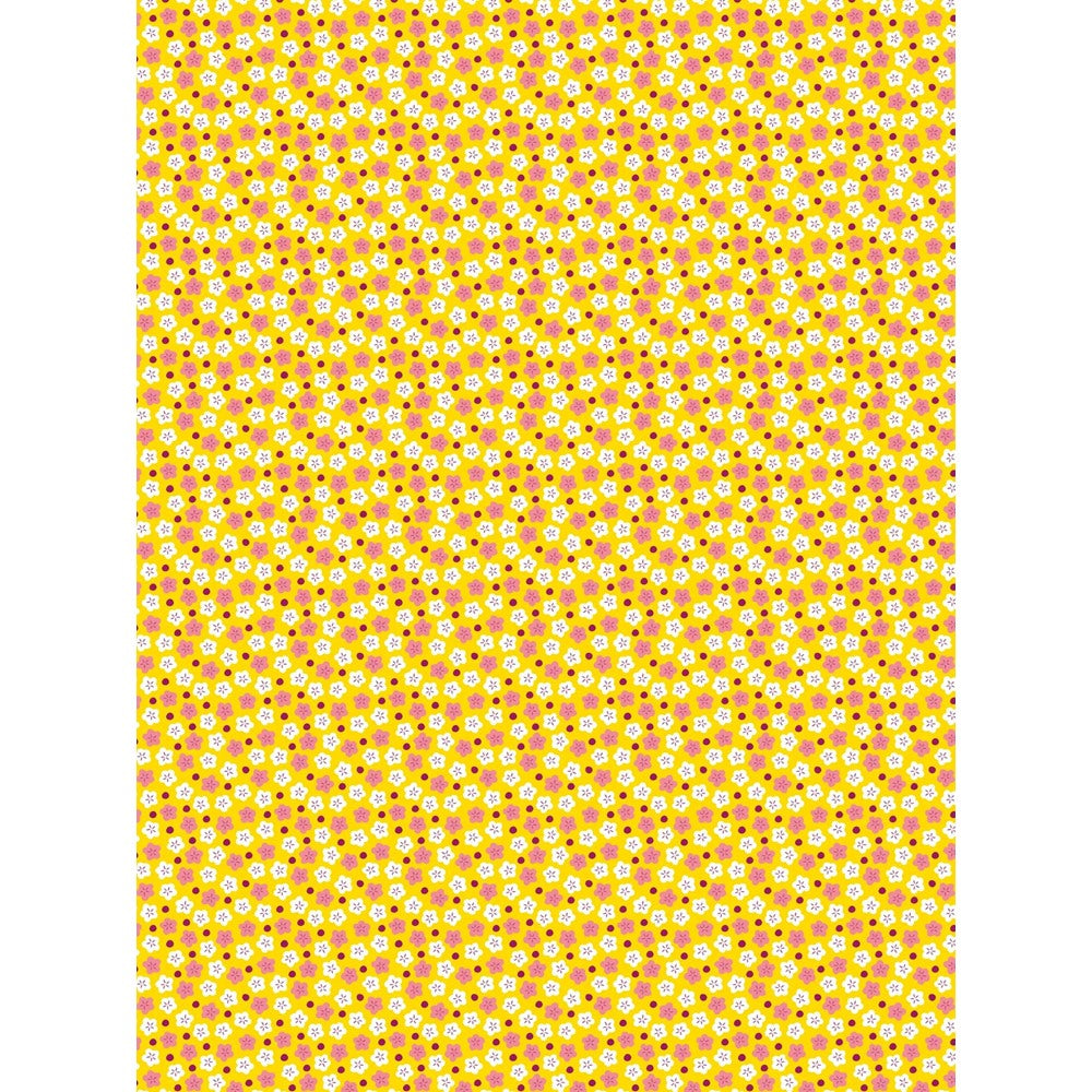 Décopatch Mini Kit Katze