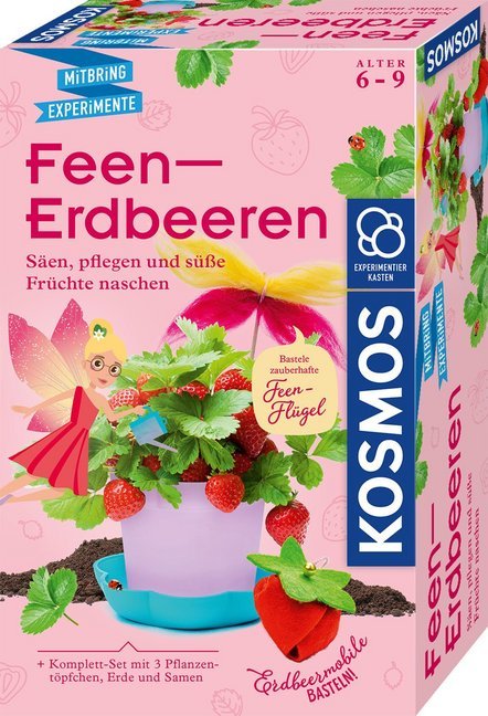 MBE Feen-Erdbeeren