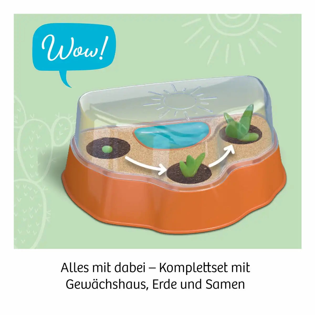 Experimentierkasten Kakteen-Wüste