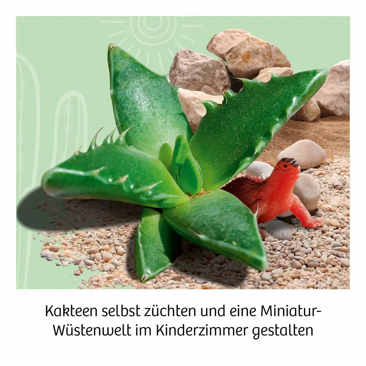Experimentierkasten Kakteen-Wüste