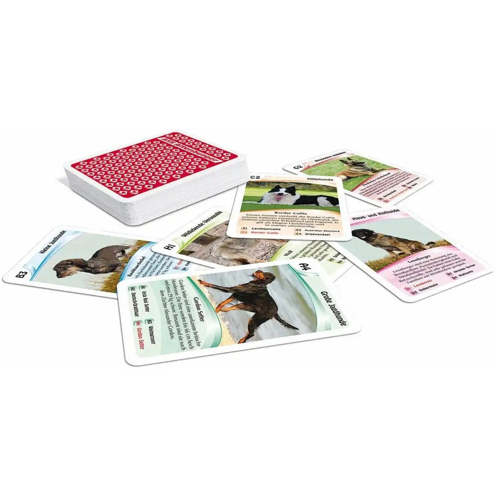 Kartenspiel Quartett Hunde