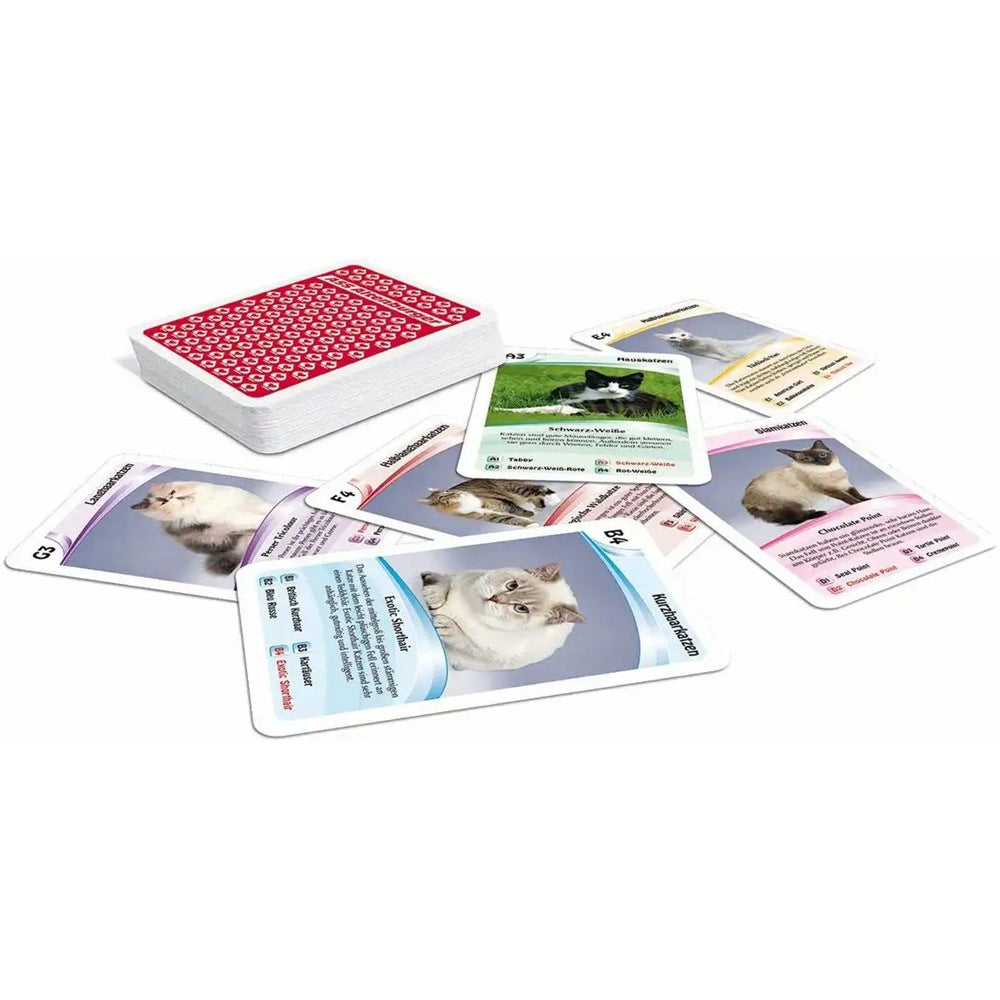 Kartenspiel Quartett Katzen