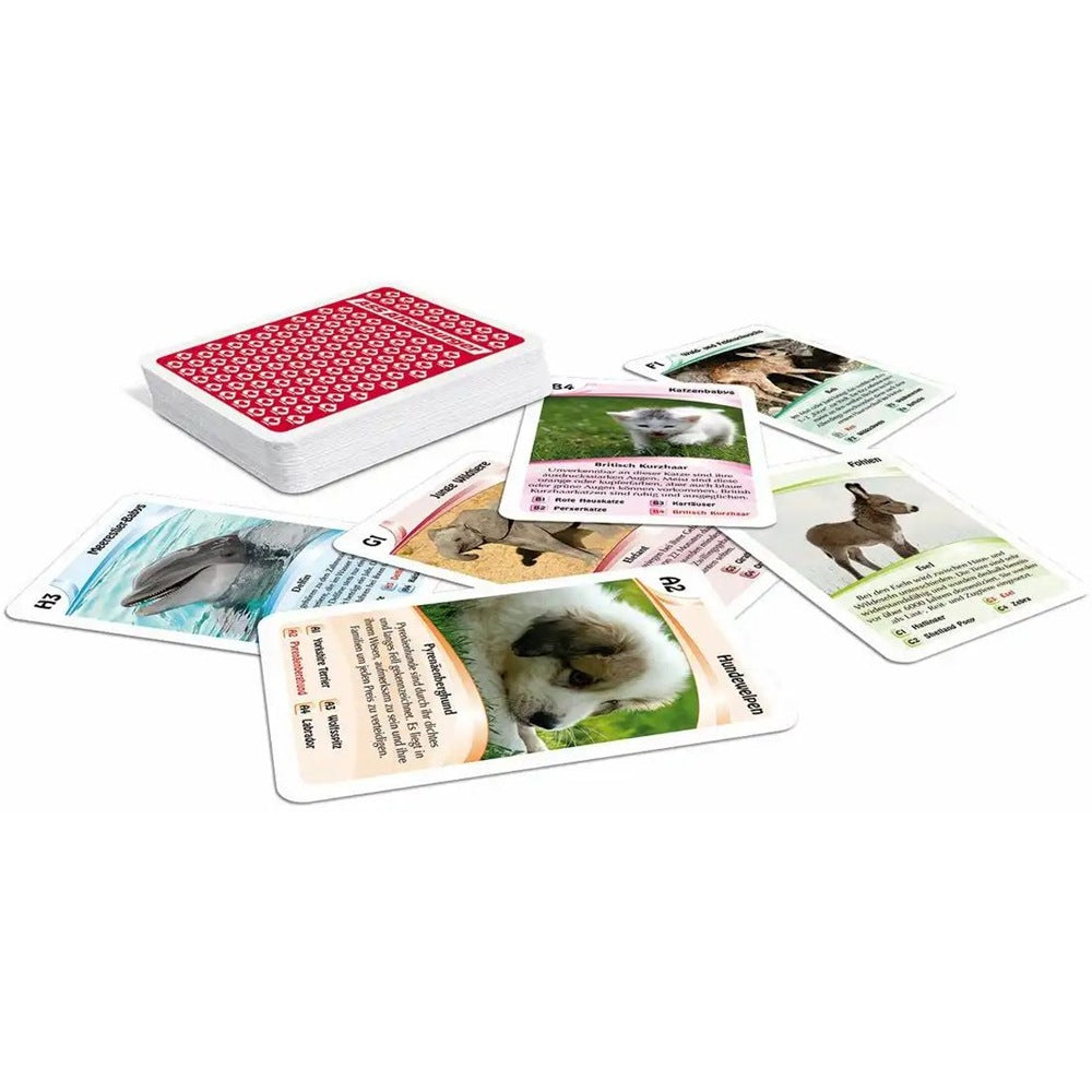 Kartenspiel Quartett Tierkinder