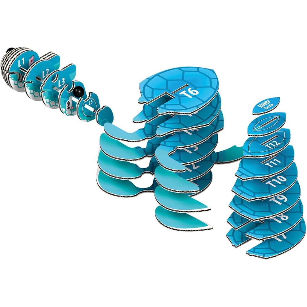 3D Bastelset Schildkröte