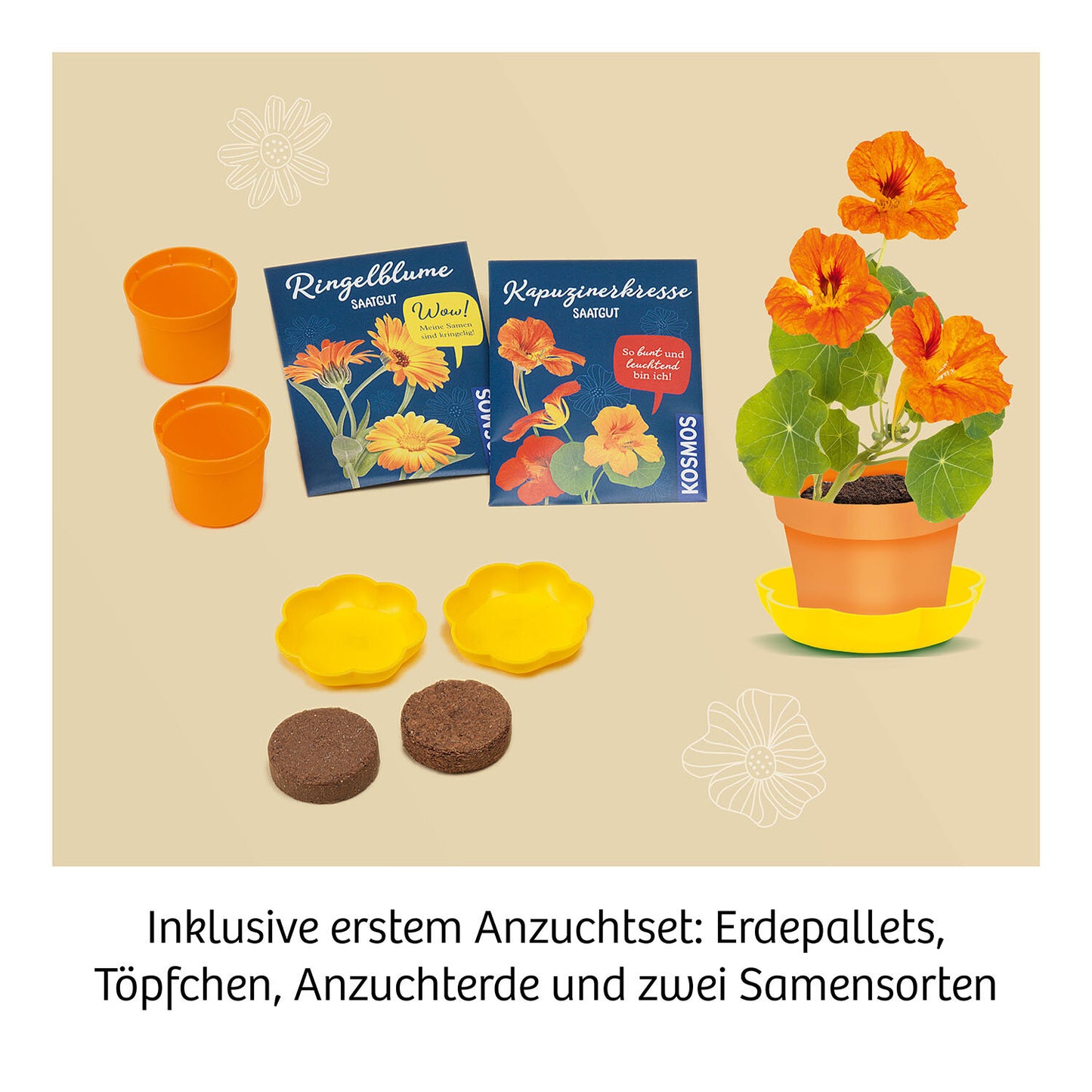 Experimentierkasten Blütenpresse